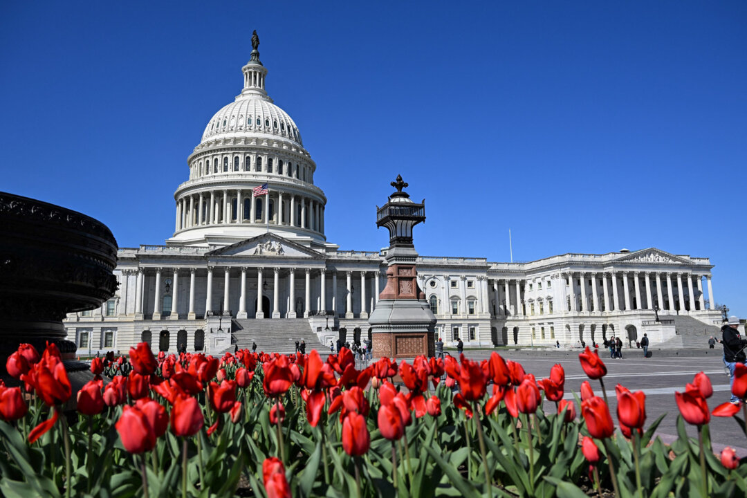 Tòa nhà Quốc hội Hoa Kỳ tại Hoa Thịnh Đốn, hôm 24/03/2024. (Ảnh: Daniel Slim/AFP qua Getty Images)